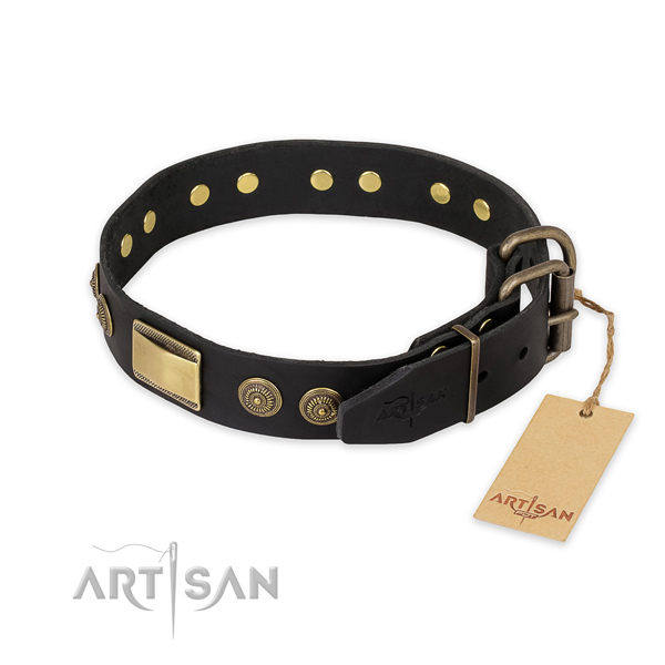 Corrosion proof fittings on natural genuine leather collar for everyday walking your canine