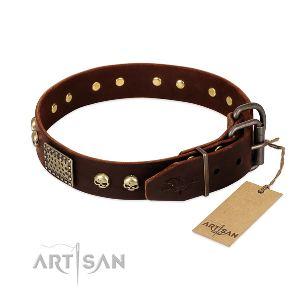 Rust resistant studs on easy wearing dog collar