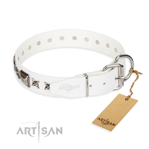 Top quality decorated dog collar of leather