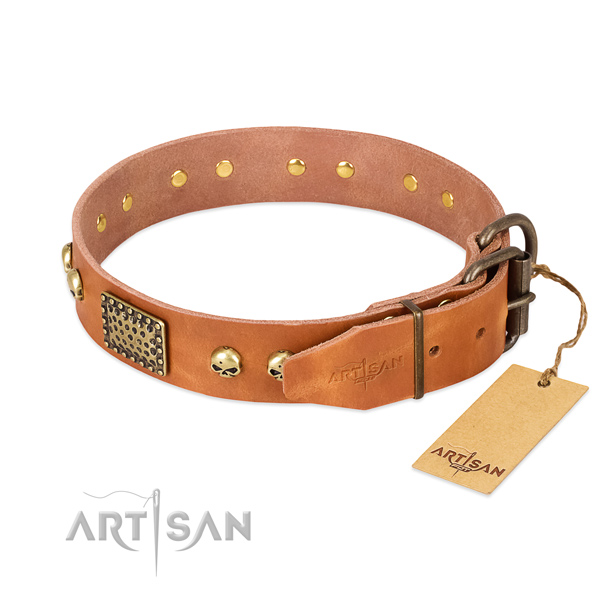 Corrosion resistant studs on walking dog collar