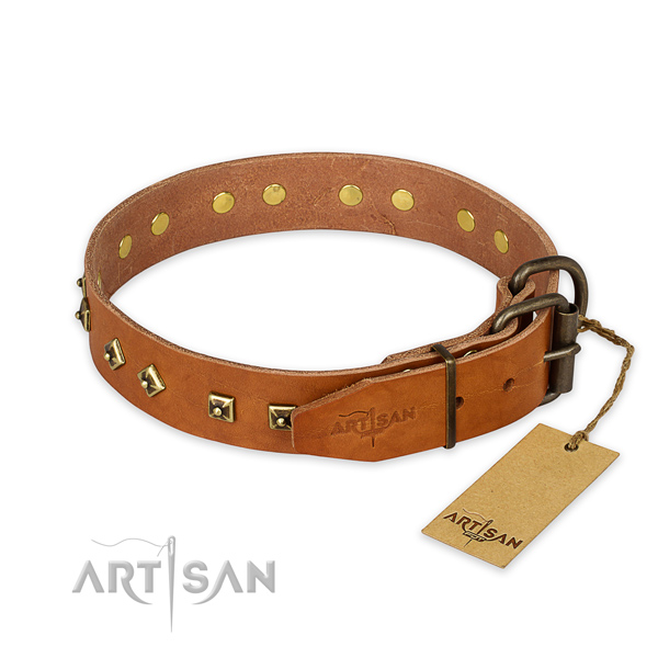 Reliable buckle on genuine leather collar for daily walking your canine