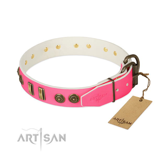 Corrosion proof adornments on leather dog collar for your canine