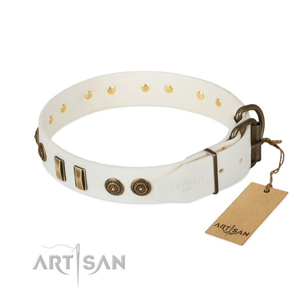 Corrosion resistant buckle on genuine leather dog collar for your pet