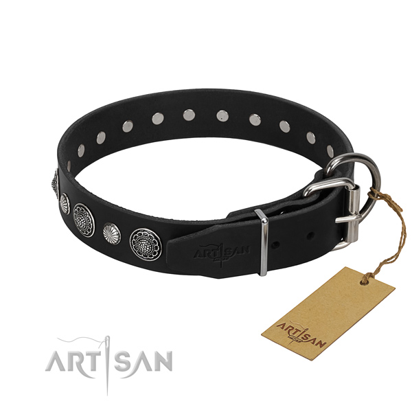 Finest quality genuine leather dog collar with remarkable studs