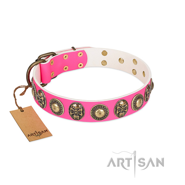 Easy to adjust full grain natural leather dog collar for daily walking your pet