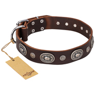 "Extra Pizzazz" FDT Artisan Adorned Brown Leather German Shepherd Collar