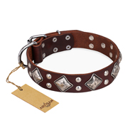 "King of Grace" FDT Artisan Stylish Leather German Shepherd Collar with Old Silver-Like Plated Decorations