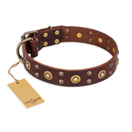 "Caprice of Fashion" FDT Artisan Brown Leather German Shepherd Collar with Round Decorations