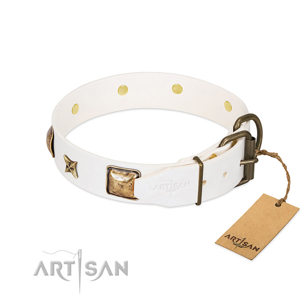 Leather dog collar with corrosion proof D-ring and studs
