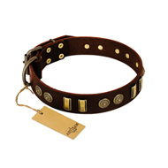 "Golden Elegance" FDT Artisan Brown Leather German Shepherd Collar with Old Bronze-like Decorations