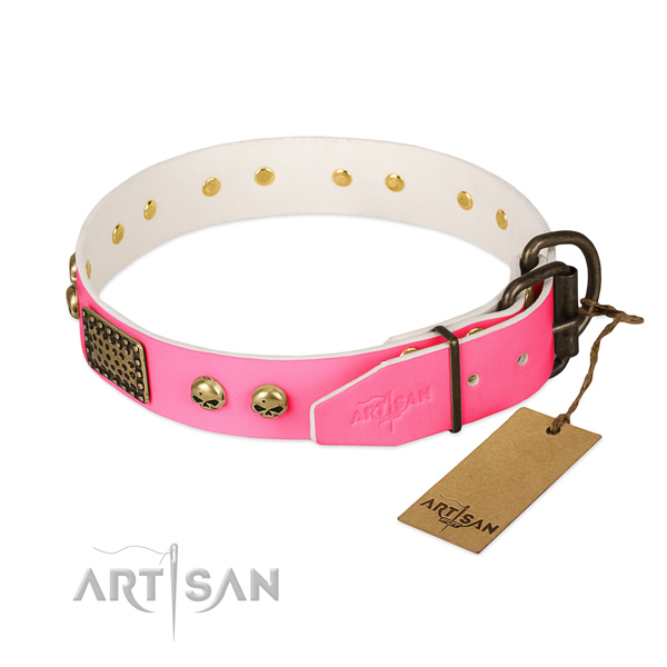 Corrosion proof decorations on stylish walking dog collar