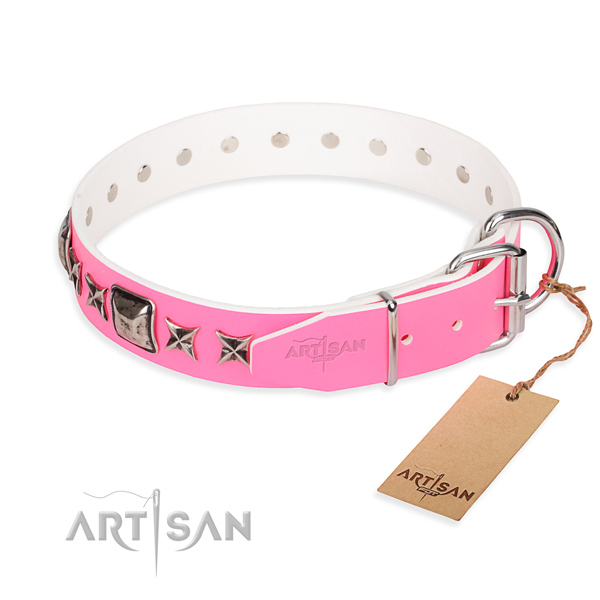 Quality embellished dog collar of full grain leather
