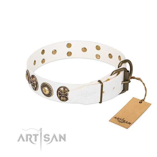 Reliable D-ring on handy use dog collar