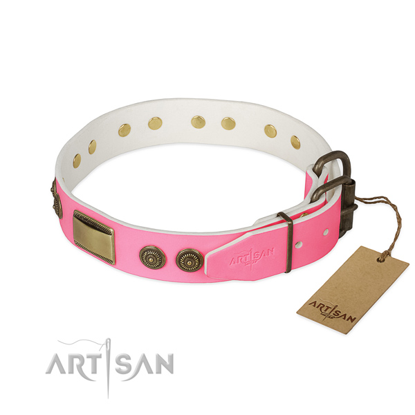Corrosion proof adornments on everyday use dog collar
