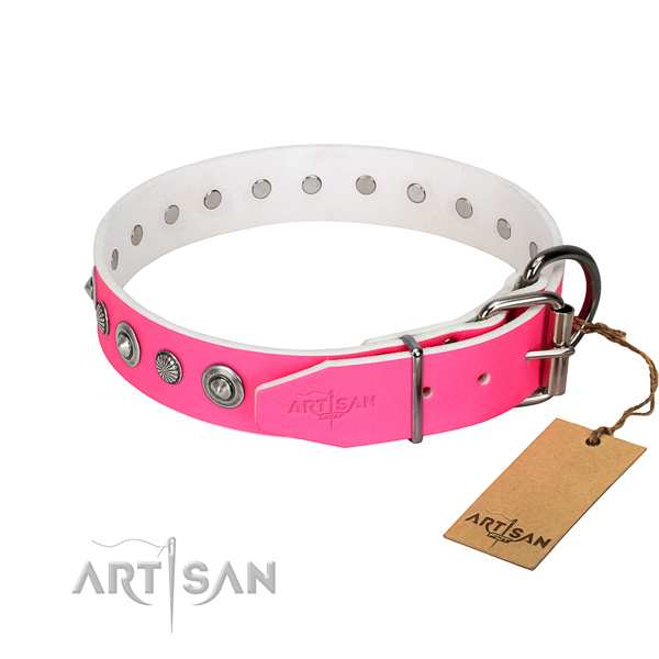 Strong full grain leather dog collar with designer embellishments
