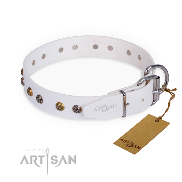 Leather dog collar with remarkable rust resistant adornments