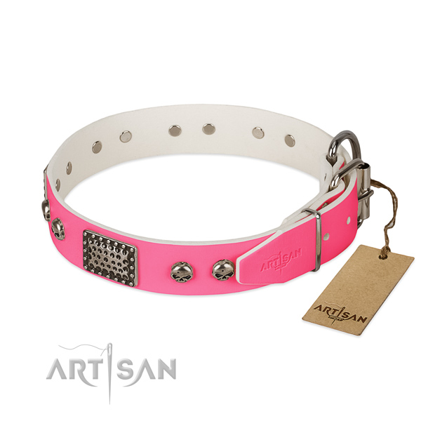 Corrosion proof adornments on walking dog collar