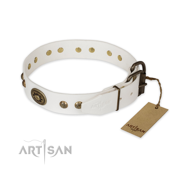 Durable hardware on full grain natural leather collar for basic training your pet