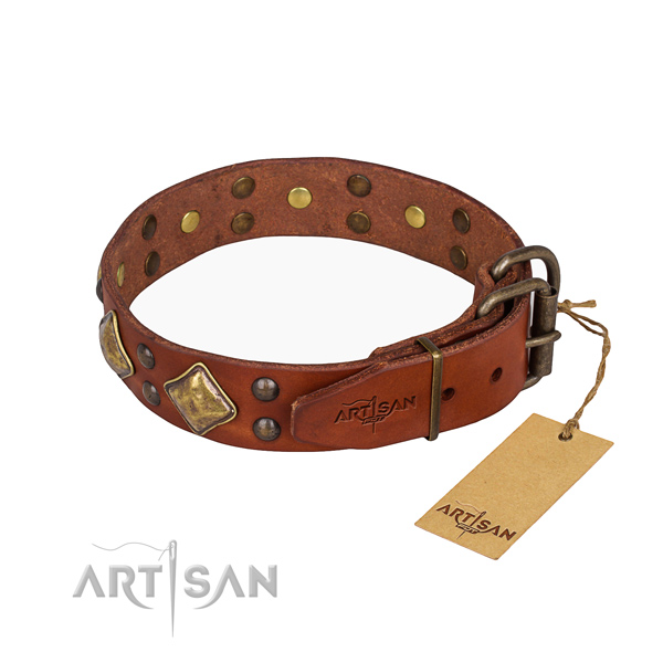 Full grain natural leather dog collar with awesome durable embellishments