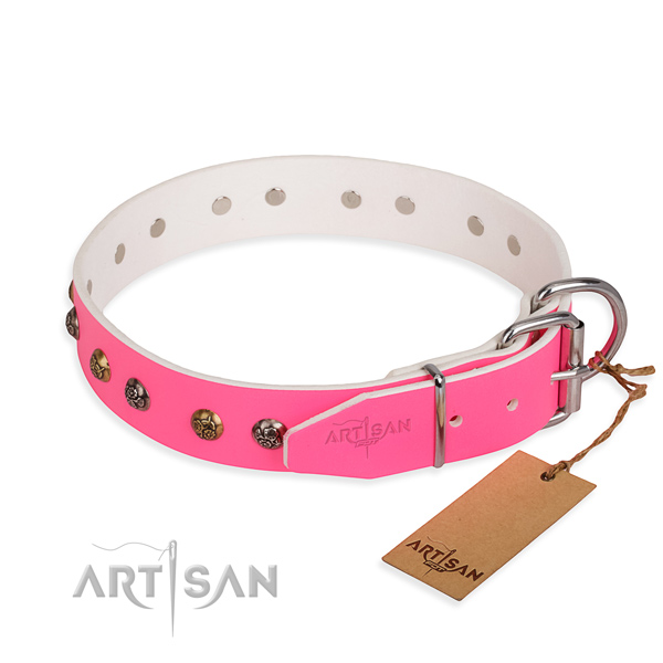 Full grain natural leather dog collar with significant corrosion resistant embellishments