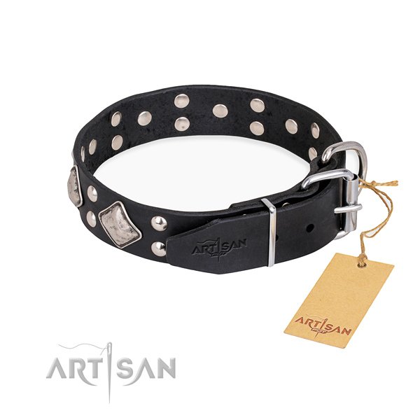 Full grain natural leather dog collar with significant corrosion resistant embellishments