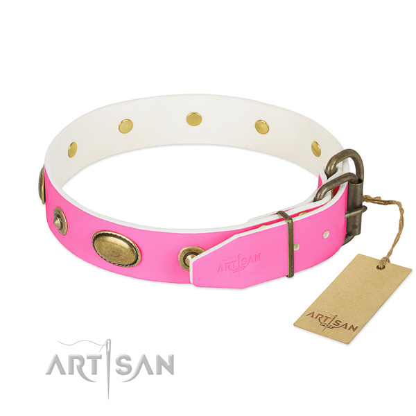 Corrosion resistant fittings on natural leather dog collar for your four-legged friend