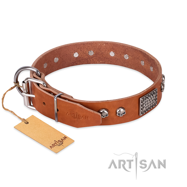 Corrosion resistant adornments on comfortable wearing dog collar
