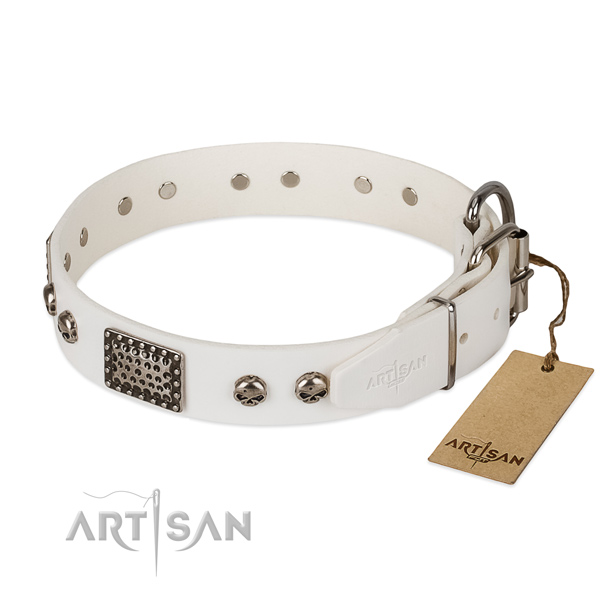 Strong embellishments on basic training dog collar