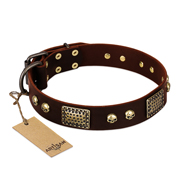"Magic Amulet" Brown Leather German Shepherd Collar with Skulls and Plates