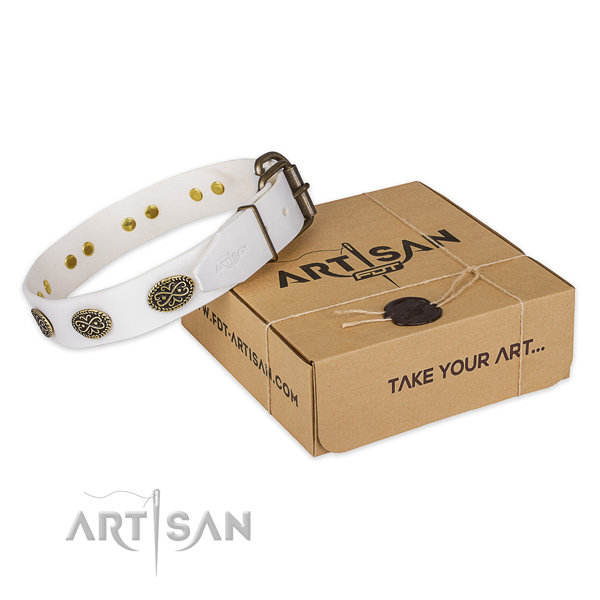 Corrosion resistant fittings on leather dog collar for walking