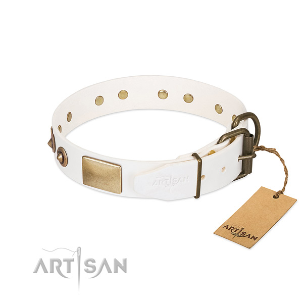 Rust-proof buckle on full grain leather dog collar for your four-legged friend