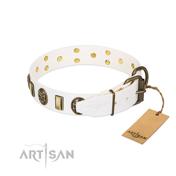Strong D-ring on full grain natural leather collar for basic training your dog
