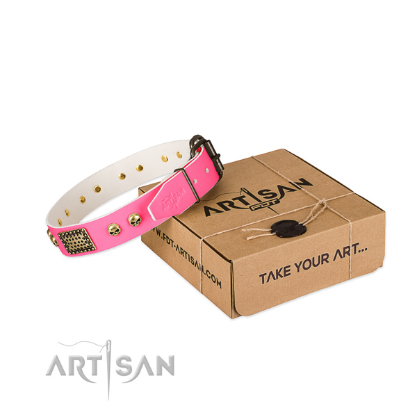Rust-proof embellishments on dog collar for daily use