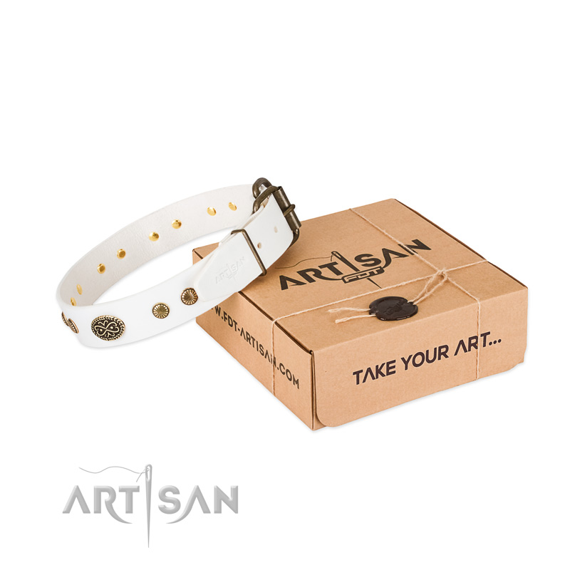 Corrosion resistant embellishments on full grain genuine leather dog collar for your pet