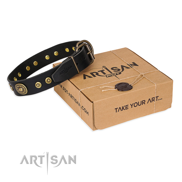 Full grain leather dog collar made of top notch material with rust-proof buckle