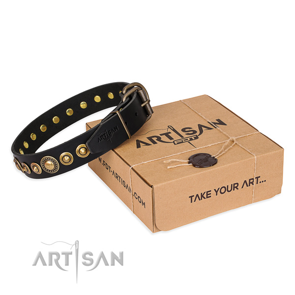 Reliable leather dog collar handcrafted for stylish walking