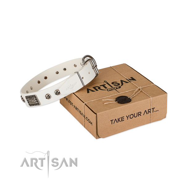 Rust-proof traditional buckle on dog collar for handy use