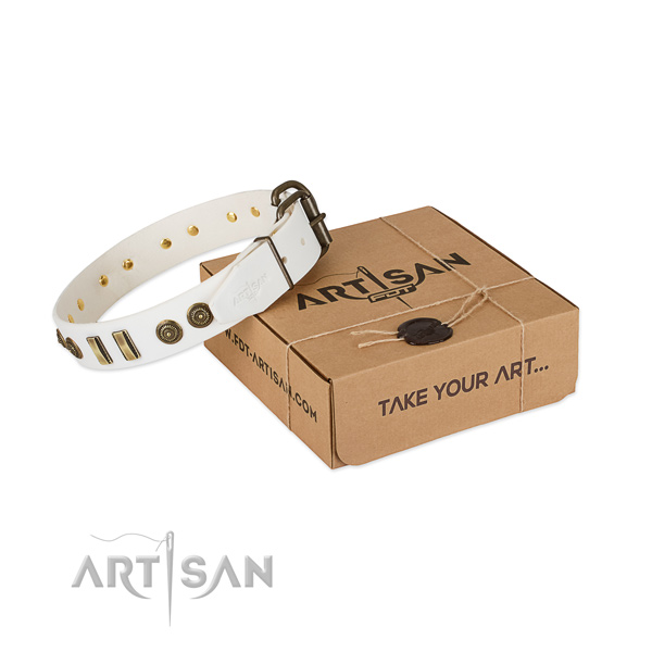 Corrosion proof studs on leather dog collar for your doggie