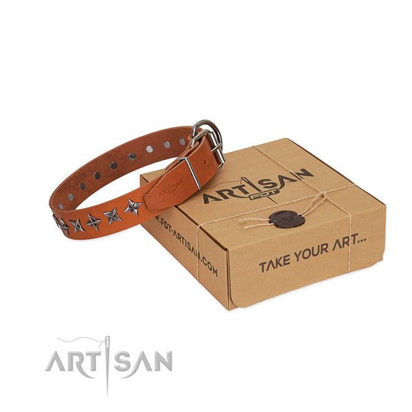 Everyday walking dog collar of durable full grain leather with adornments