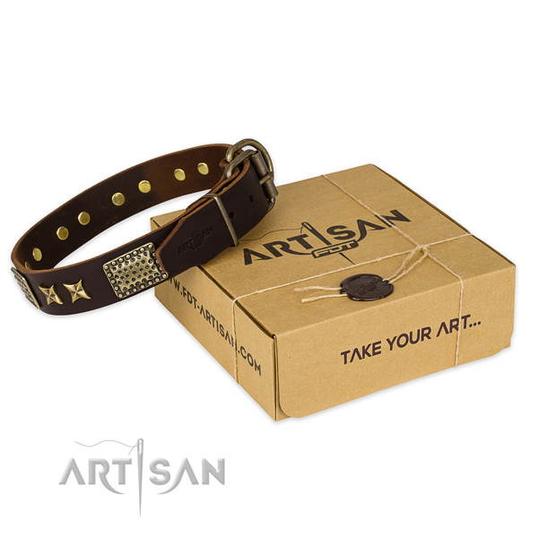 Rust-proof buckle on full grain natural leather collar for your attractive dog