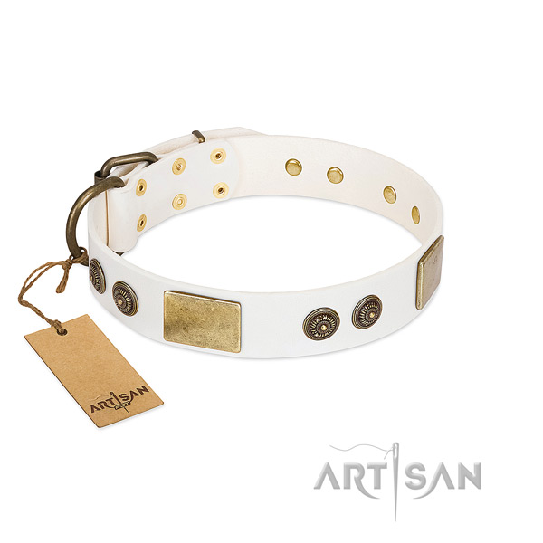 Impressive full grain leather dog collar for handy use