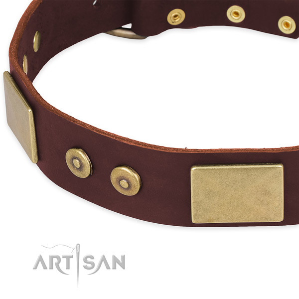 Natural genuine leather dog collar with decorations for daily walking