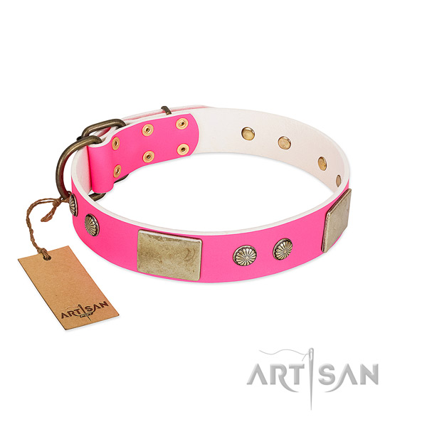 Easy to adjust full grain leather dog collar for walking your dog