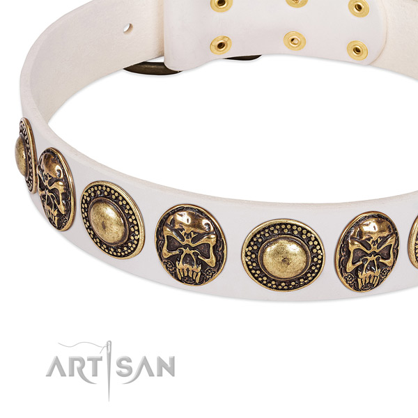 Rust resistant adornments on leather dog collar for your pet