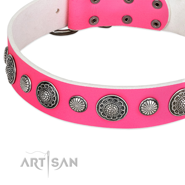 Full grain leather collar with rust-proof traditional buckle for your handsome pet