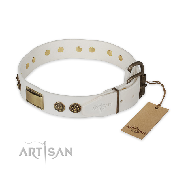 Reliable hardware on full grain leather collar for walking your dog