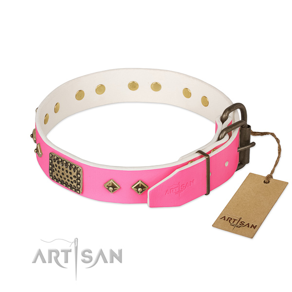 Durable hardware on walking dog collar