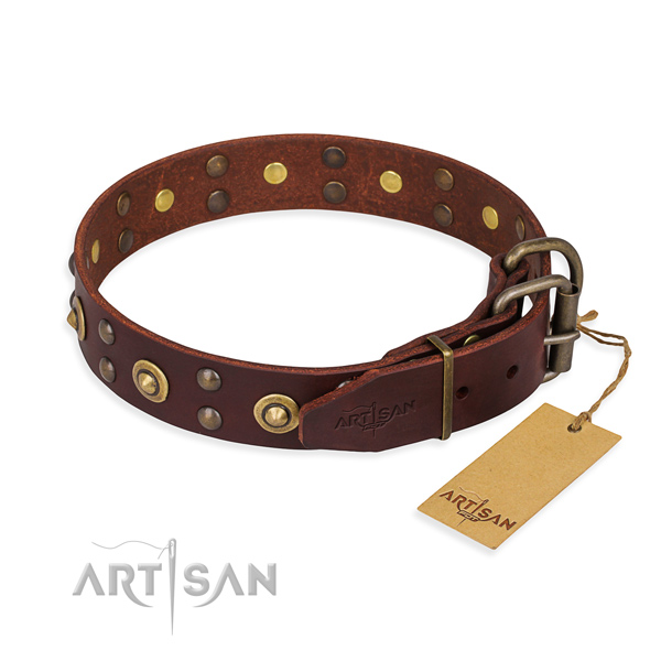 Rust resistant hardware on leather collar for your handsome pet