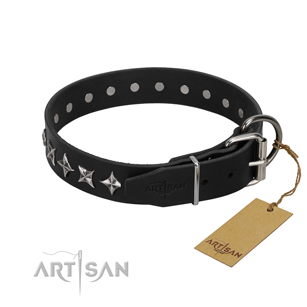 Walking adorned dog collar of top quality genuine leather