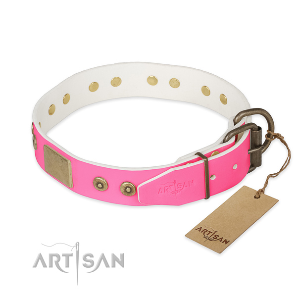 Corrosion resistant adornments on basic training dog collar